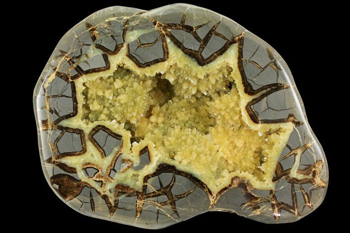 Polished, Yellow Crystal Filled Septarian Geode - Utah #112114